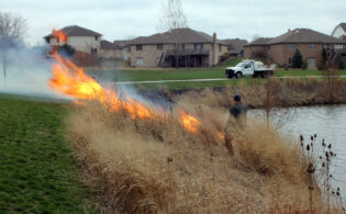 prescribed field burns